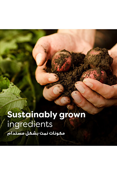 Knorr Cup A Soup Cream of Mushroom 4 x 20 gSmooth Instant Soup with Rich Flavour for Quick Hot Meals