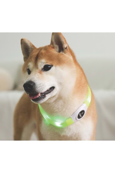 M-PETS Flash Led Neck Collar Green (m)