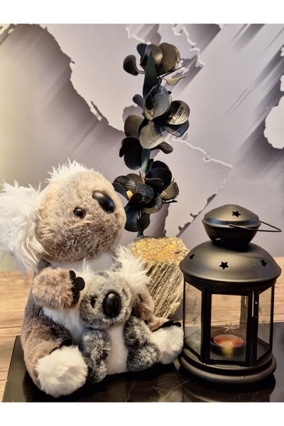 Selay Oyuncak CAM GÖZ YAVRULU KOALA GRİ 26cM