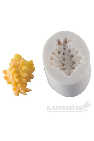 Lumea Mulaj silicon scoica de mare -