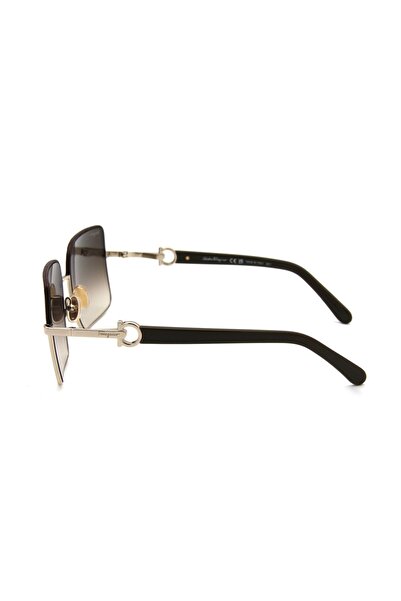 Salvatore Ferragamo Sf 302Sl C704 Women's Sunglasses
