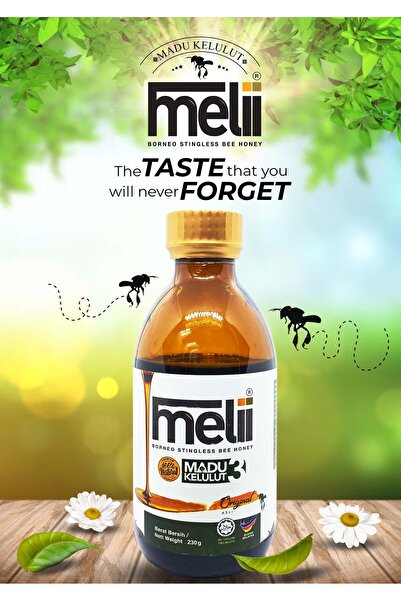 Meliponini İğnesiz Arı Balı 230gr