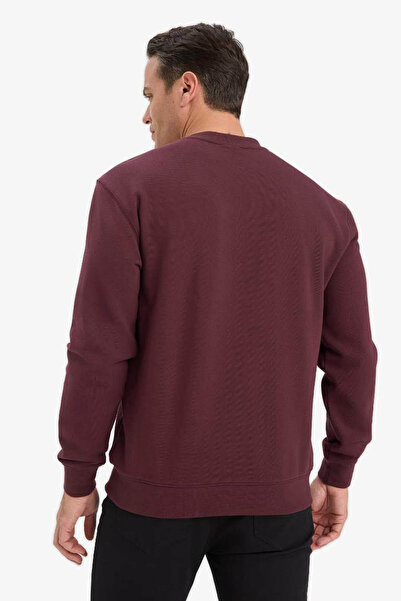 DeFacto Bordo Erkek Sweatshirt E8339AX/BR464