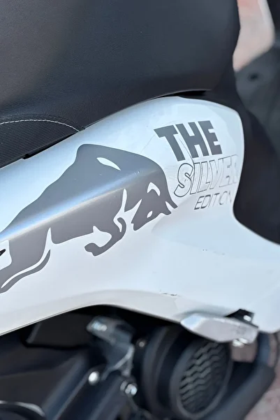 Banxtre Silver Grey Bull Energy Sticker Decal Set (2 Pieces) for Motorcycle and Helmet