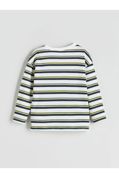 LC Waikiki Striped Boy's T-Shirt