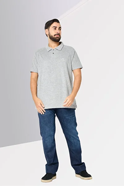 Cerruti 1881 Men Regular Fit Embroidered Logo Short Sleeves Polo Shirt, Light Grey