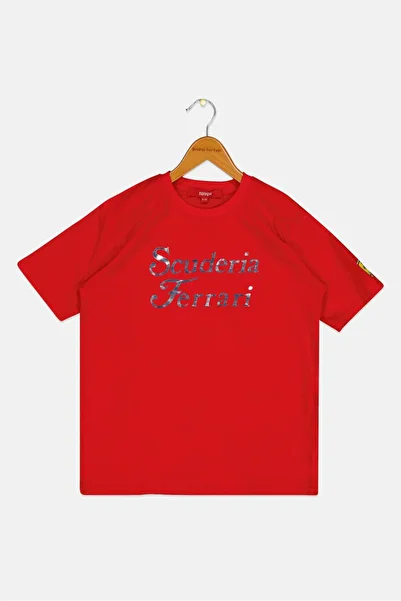 Ferrari Kids Boy Sportswear Fit Short Sleeve Outdoor T-shirt, Multicolor