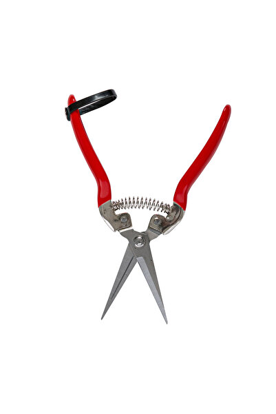 micul fermier Foarfece de cules legume/fructe 70mm dreapta