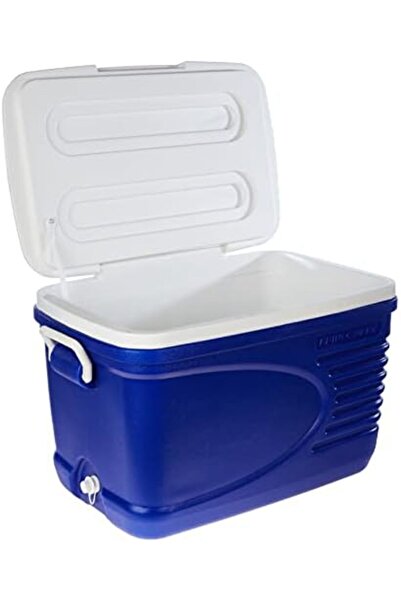 PRINCEWARE - L3497 Plastic Ice Box, 60.5 Litre, Assorted
