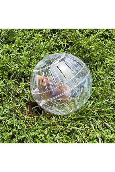 Relaxdays Transparent hamster ball, Diameter 14 cm