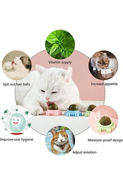 Saharaz Catnip Wall Ball,3-Piece Cat Toys,Edible Cat Licking Toy,Cat Chew Toy,Teeth Cleaning Cat Bite Toy