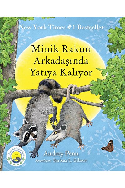 Butik Yayıncılık Minik Rakun Arkadaşında Yatıya Kalıyor