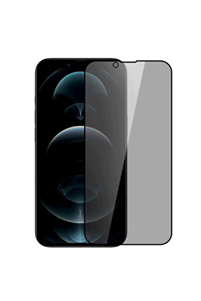 Intelli Privacy Tempered Glass For Apple iPhone 13 Mini, 9H, 0.3MM