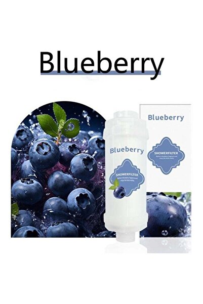 Generic فلتر استحمام بحبيبات معطرة بالفيتامينات، مضاد لتساقط الشعر، يمنع جفاف الجلد، يزيل الكلور، يزيل الصدأ