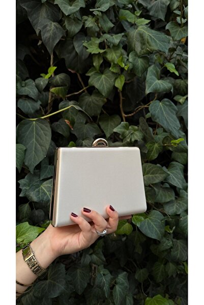 BRAVE BAG حقيبة سهرة بتفاصيل ذهبية بعشرة ألوان - 33