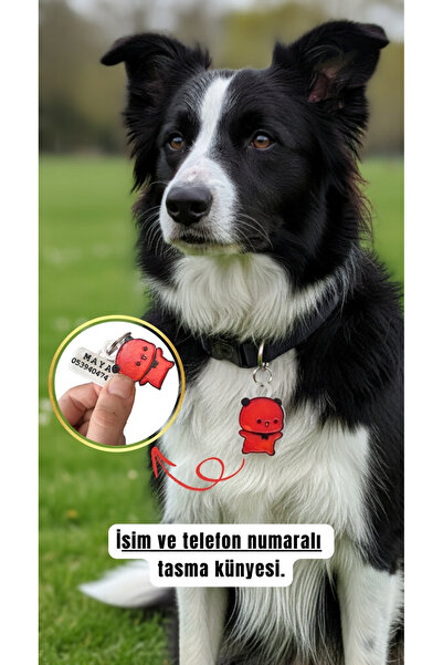 İsime Özel Zilli , Çıngıraklı Kedi Ve Köpek Künyesi Ve Kolyesi ( 2. Resmi Okuyun )