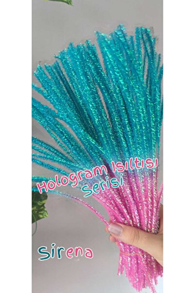 hobidaşım Hologram Işıltısı Şönil Serisi | 10’lu Paket | DIY & Deney malzemesi