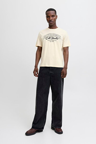 Jack & Jones T-shirt male knit co100