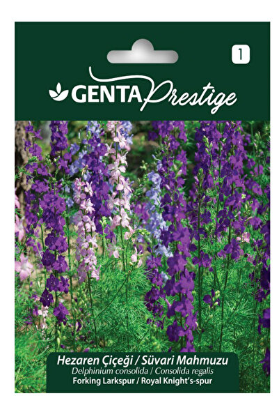 Genta Süvari Mahmuzu Varie – Hazeran Çiçeği Forking Larkspur Tohumu