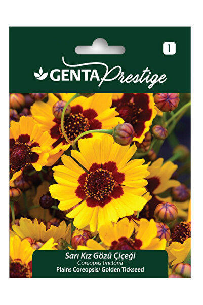 Genta Sarı Kız Gözü Çiçeği Tohumu