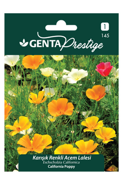 Genta Karışık Renkli Acem Lalesi Tohumu