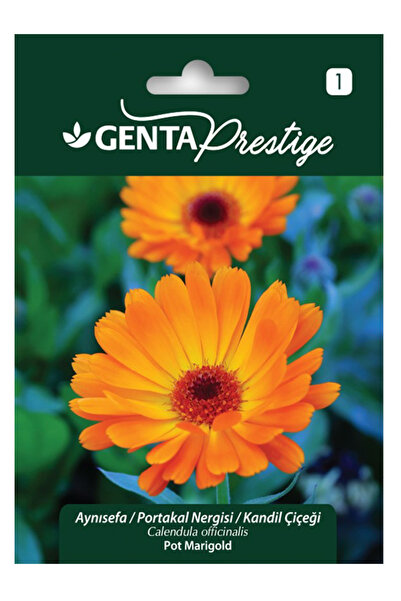 Genta Aynısefa Portakal Nergisi - Kandil Çiçeği Tohumu