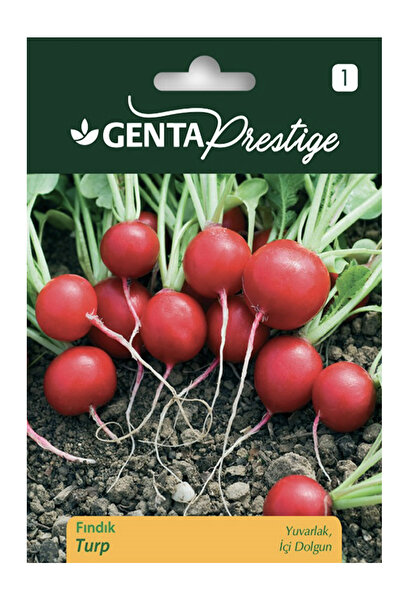 Genta Yuvarlak ve Dolgun Fındık Turp Tohumu