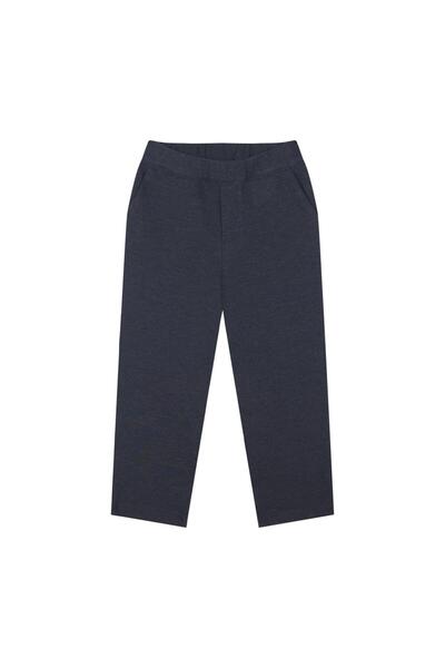 Antebies Gray Pants