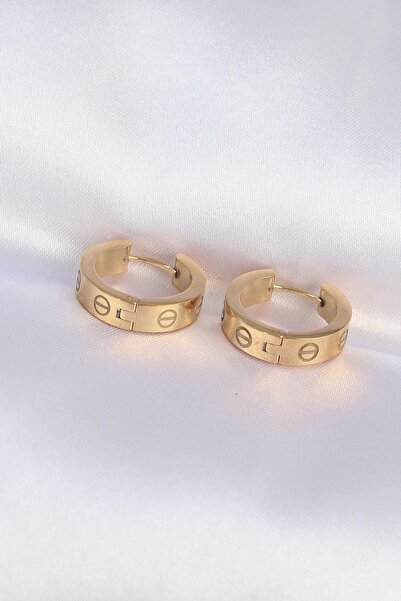 Celira 316L Steel Gold Color Model Hoop Earring Ns3871