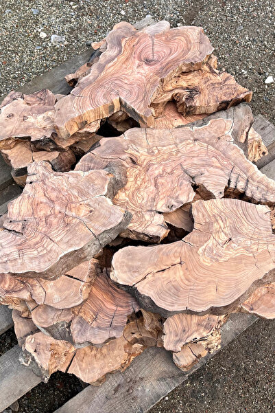 İhlas Ahşap 10 Adet Kurutulmuş Planyalanmış Ham Zeytin Ağacı Parçası Epoksi ve Ahşap Projeleri İçin İşleme Hazır