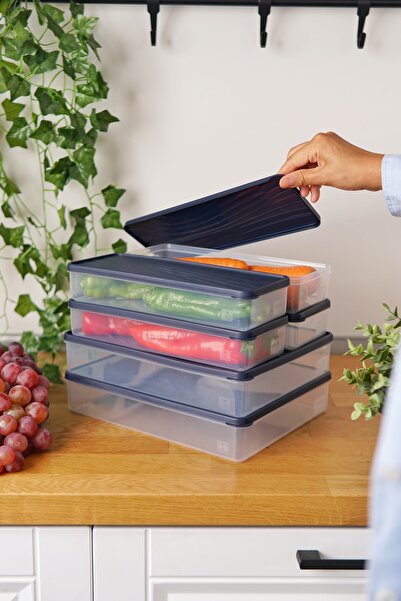 EVLE Deep Freezer Storage Container Set of 6 (2 X 3 Lt + 4 X 1 Lt), Blue