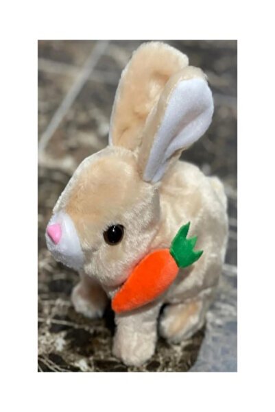 SUDESA OYUNCAK PİLLİ SESLİ IŞIKLI YÜRÜYEN TAVŞAN EMG9718