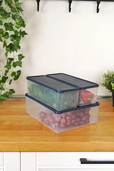 EVLE Deep Freezer Storage Container Set of 3 (5 Lt + 2 X 2 Lt), Blue
