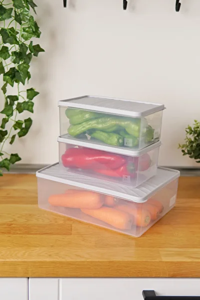 EVLE Deep Freezer Storage Container Set of 3 (5 Lt + 2 X 2.1 Lt), Gray
