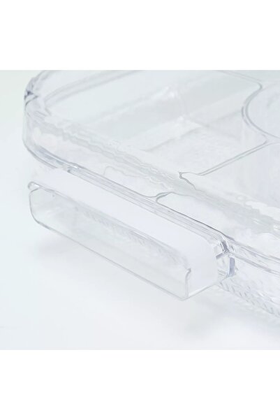 Generic Krystal Server with Dividers and Lid