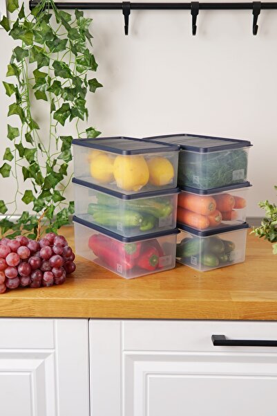EVLE Deep Freezer Storage Container Set of 6 (6 X 2.1 Lt), Blue