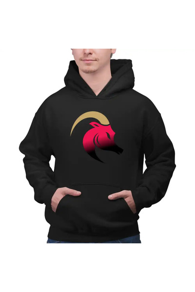 OEM Men's Hoodie Aries Horoscope Zodiac Sign Astrology Aries