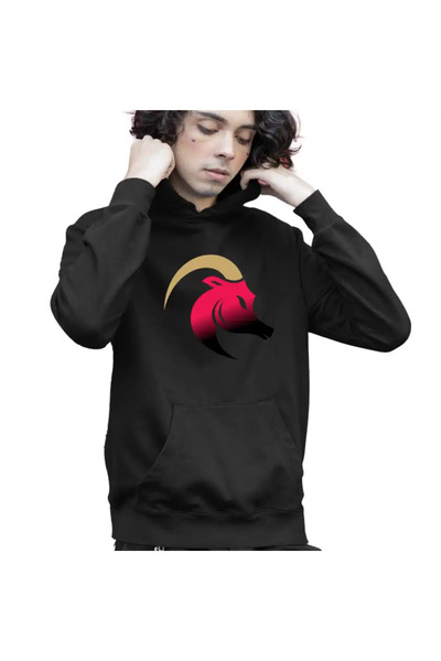 OEM Aries Kids Boys Hoodie Horoscope Zodiac Sign Astrology Aries