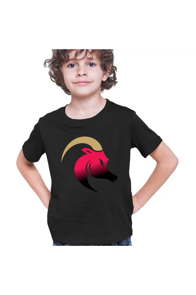 OEM Kids Boys Aries Horoscope Astrology Zodiac Aries T-Shirt