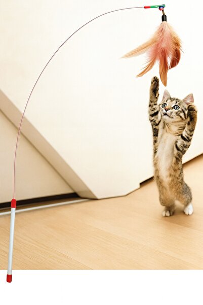 obrigado 50 cm Rattled Feather Fun Cat Play Stick |   Cat Toy