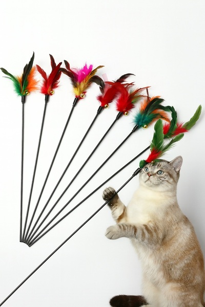 obrigado Pet Fishing Rod with Rattles and Feathers Cat Play Fishing Rod Feathered Fishing Rod for Fun Time
