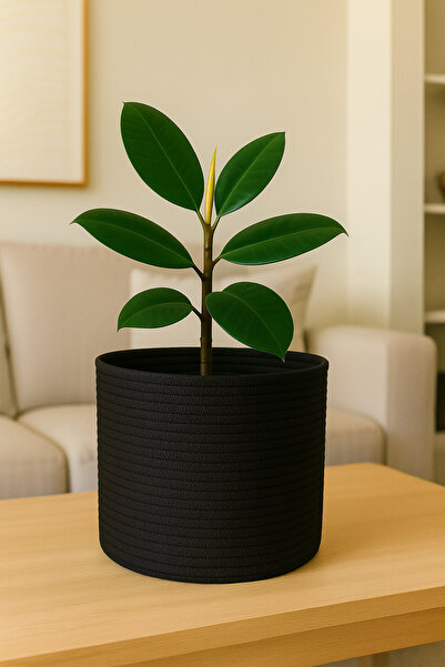 Efuliz Home Καλάθι οργάνωσης πολλαπλών χρήσεων-διακοσμητικό-οργανωτής από γιο...