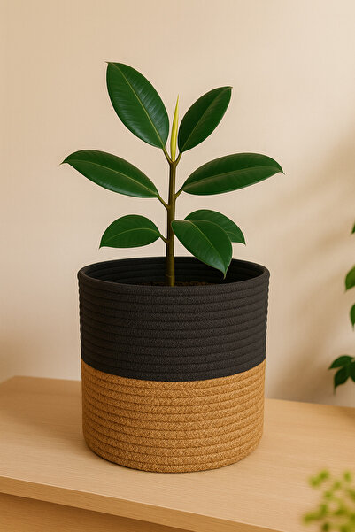 Efuliz Home سلة زهور من خوص الجوت متعددة الأغراض - سلة تنظيمية للحديقة. الطول...