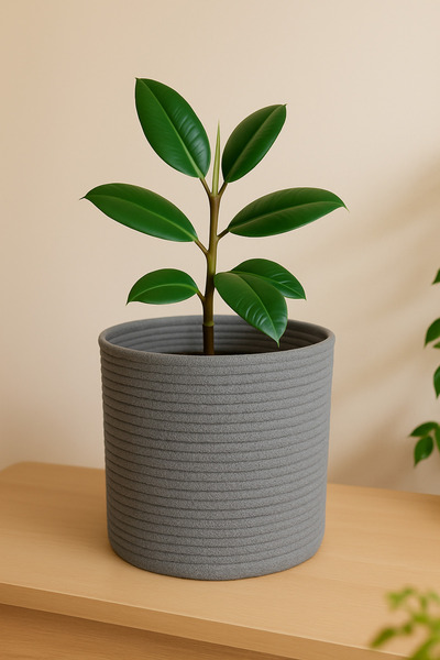 Efuliz Home Καλάθι οργάνωσης πολλαπλών χρήσεων-διακοσμητικό-οργανωτής από γιο...