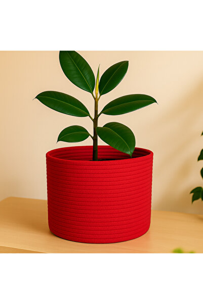 Efuliz Home Jute-Wicker Multi-Purpose-Decorative-Organizer Flower Pot Basket, Garden Organizer Basket. (Width:25-Length:20 cm)