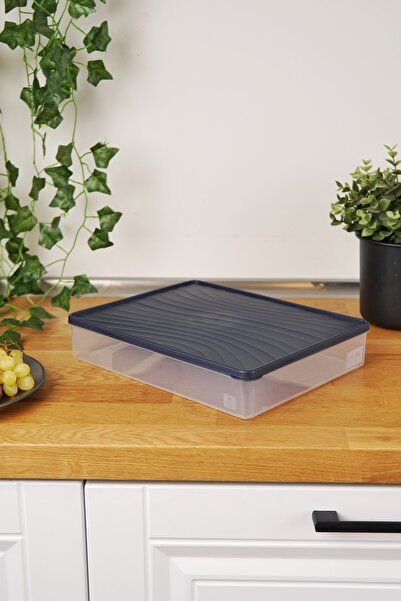 EVLE Deep Freezer Storage Container 3 L, Blue