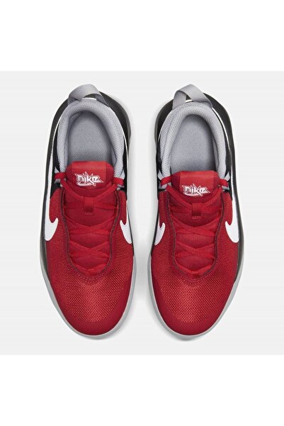 Nike Pantofi sport Team Hustle D 10 GS CW6735-607