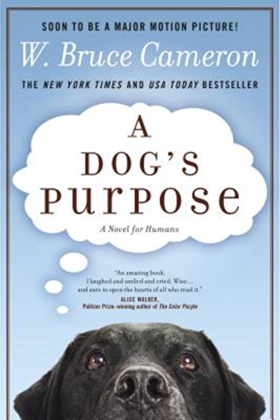 Forge Dog's Purpose