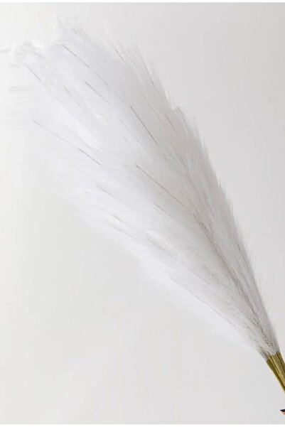 yapay çiçek evi 2 li Pampas Çiçeği Ev Dekor Vazo Süsü