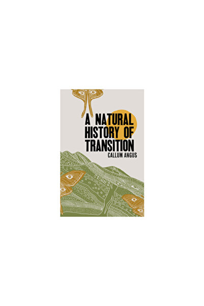 Metonymy Pr A History of Transition